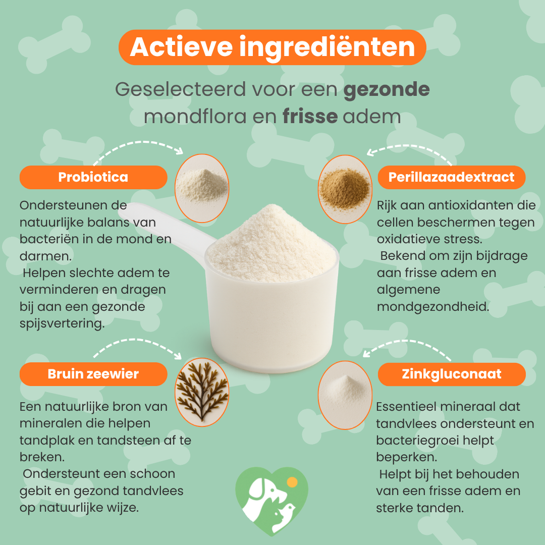 Frisse Adem Blend (Hond)