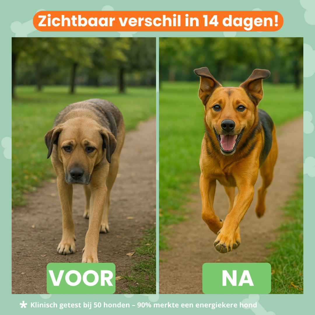 Dagelijkse Vitaliteit Chew (Hond)