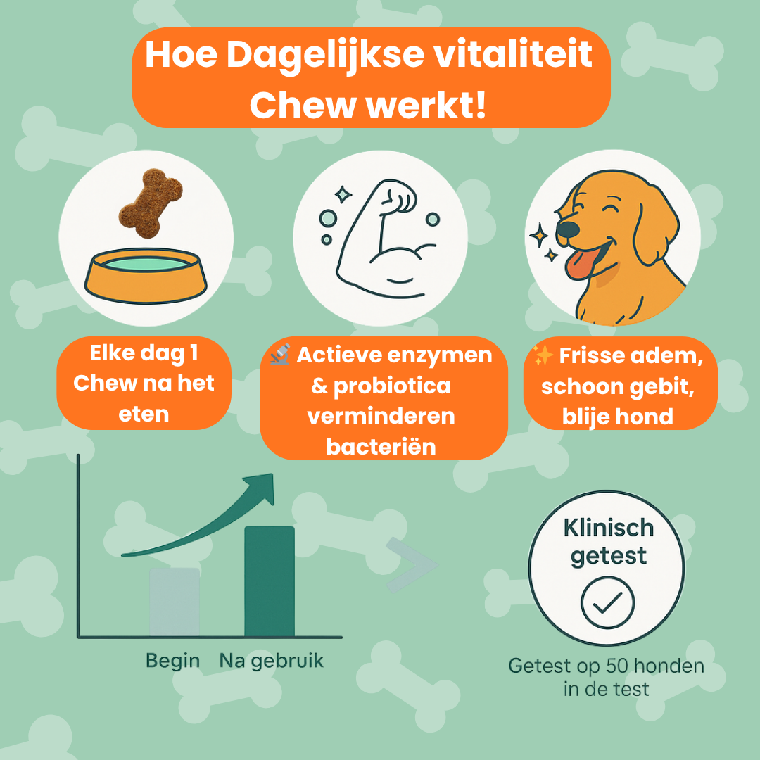 Dagelijkse Vitaliteit Chew (Hond)