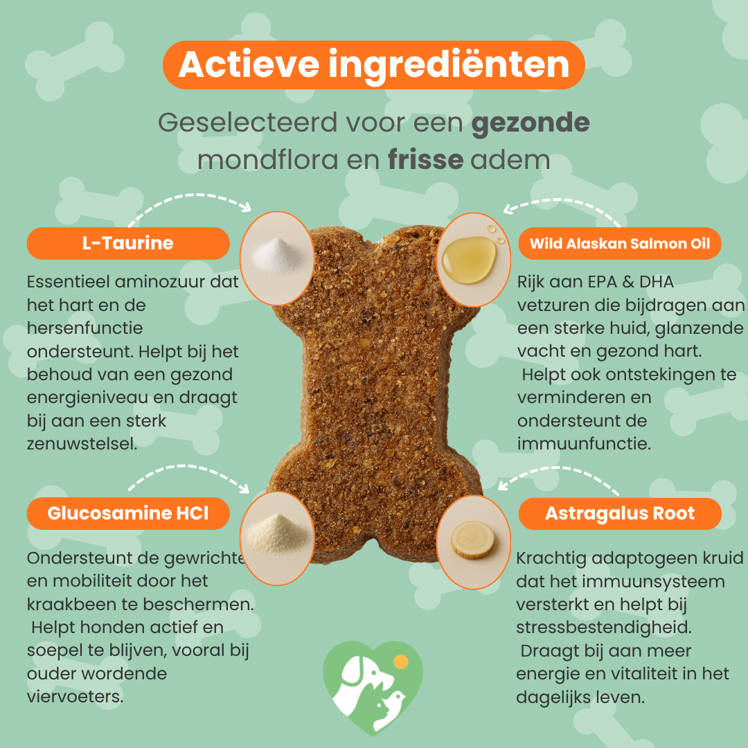 Dagelijkse Vitaliteit Chew (Hond)