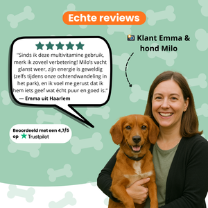 Dagelijkse Vitaliteit Chew (Hond)