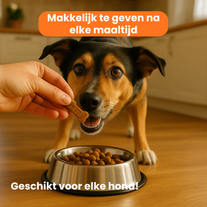 Dagelijkse Vitaliteit Chew (Hond)