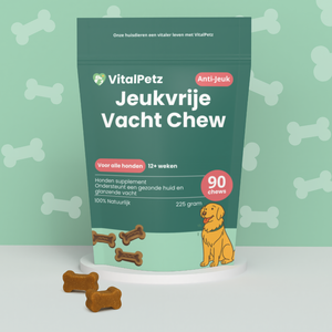 Jeukvrije Vacht Chew (Hond)