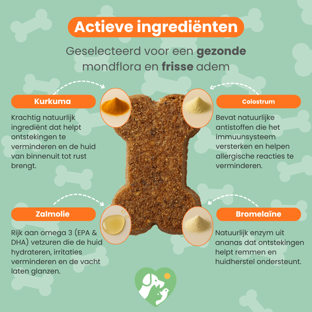 Jeukvrije Vacht Chew (Hond)