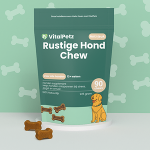 Rustige Hond Chew (Hond)