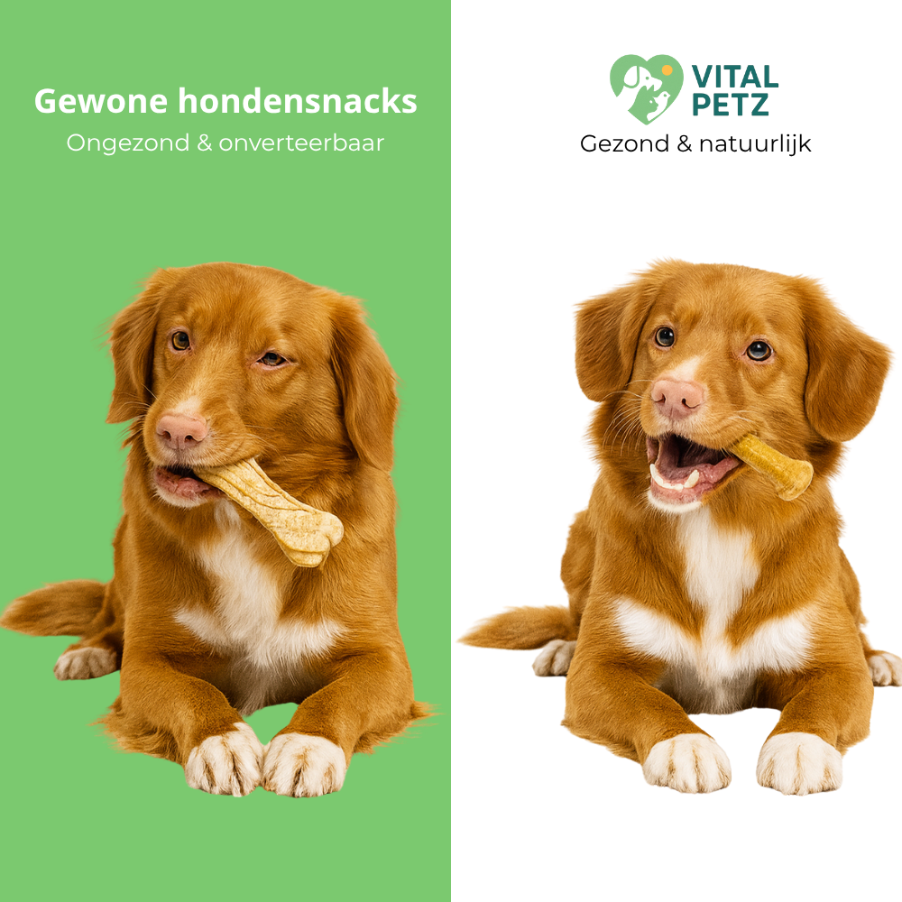 VitalPetz hondensnack 17 cm