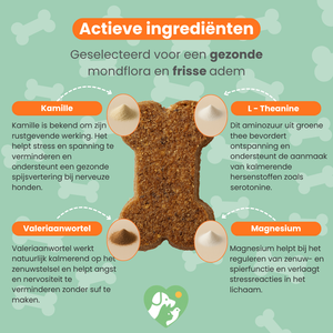 Rustige Hond Chew (Hond)