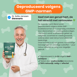 Rustige Hond Chew (Hond)