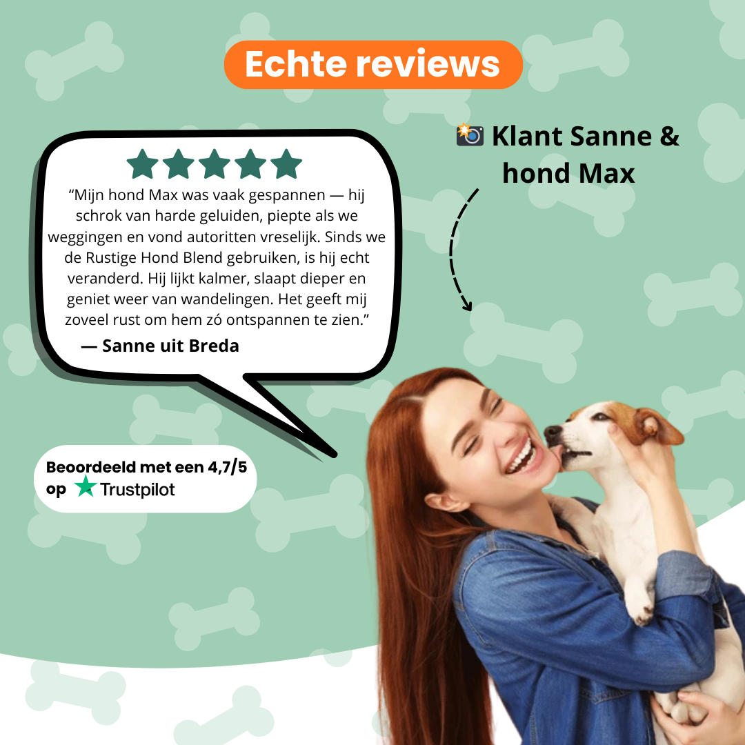 Rustige Hond Chew (Hond)