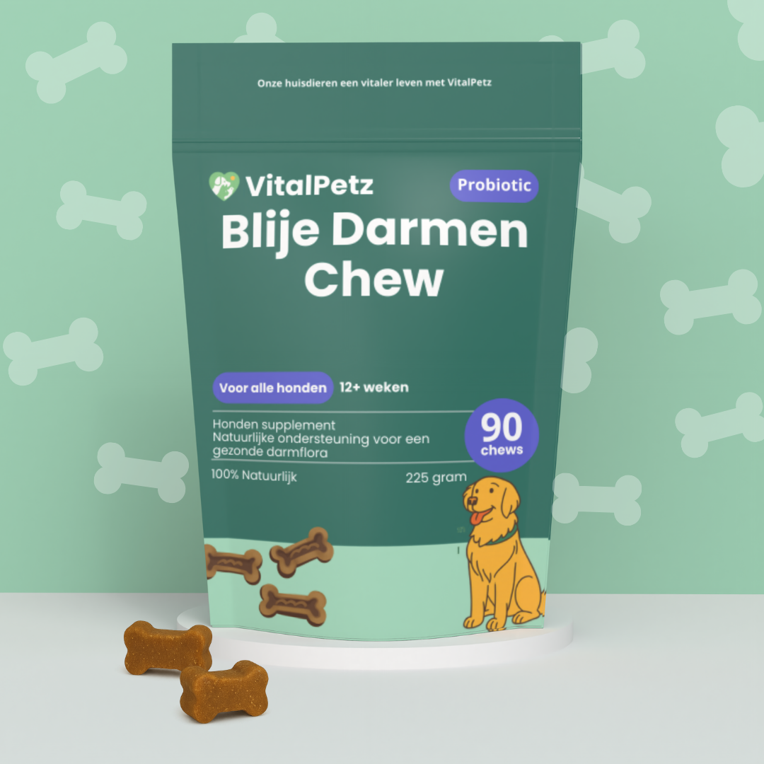 Blije Darmen Chew (Hond)