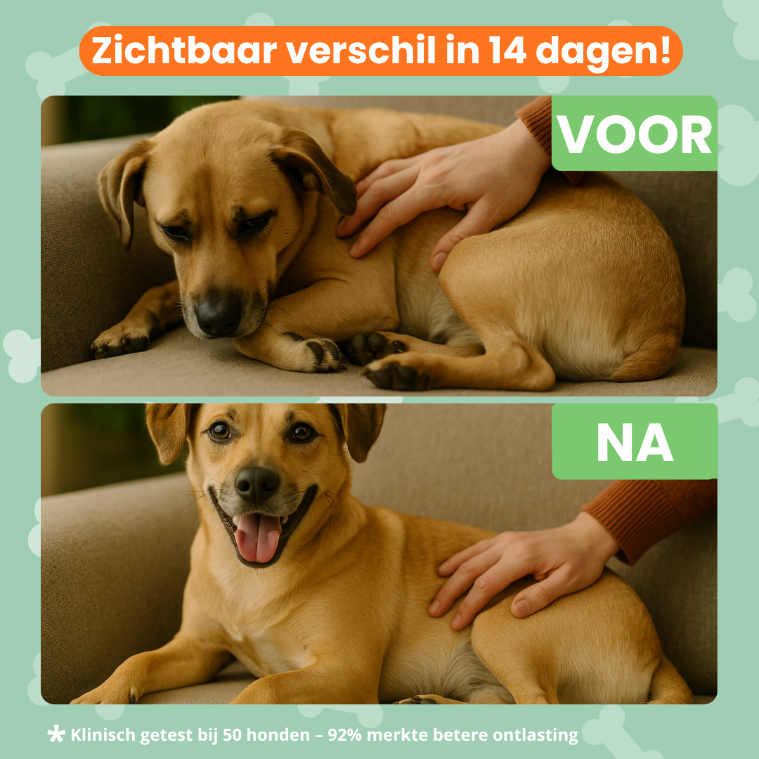 Blije Darmen Chew (Hond)