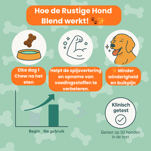 Blije Darmen Chew (Hond)