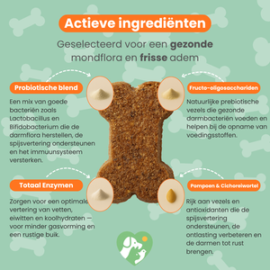 Blije Darmen Chew (Hond)