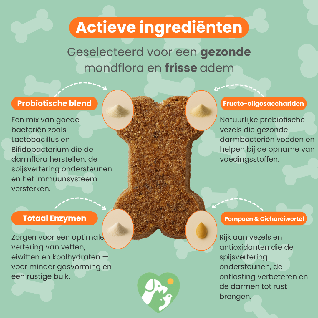 Blije Darmen Chew (Hond)