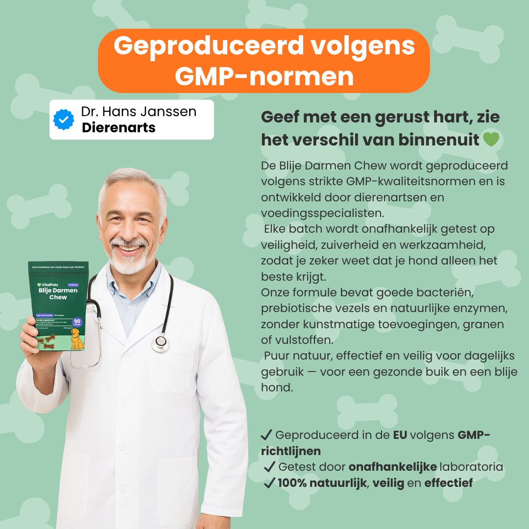 Blije Darmen Chew (Hond)