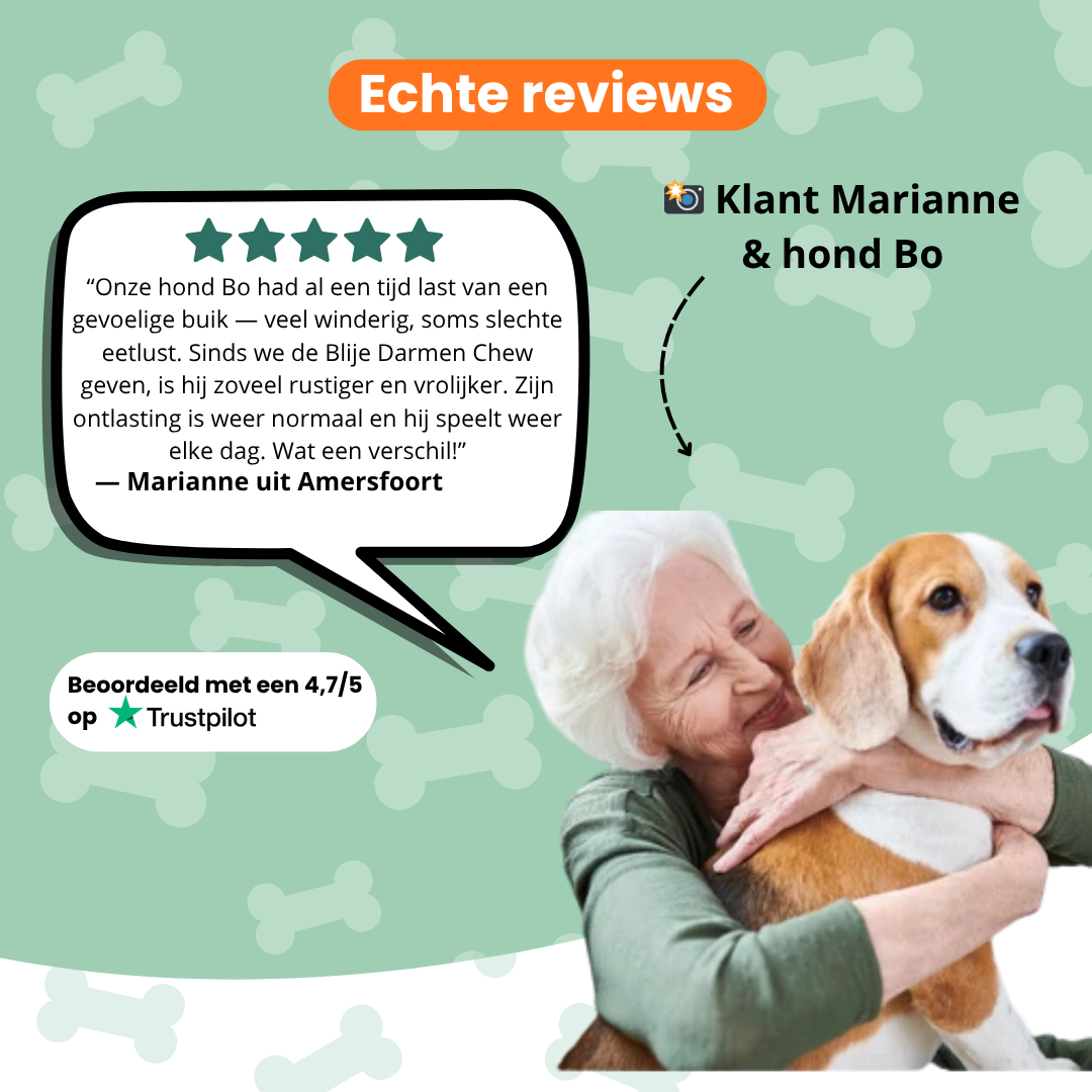 Blije Darmen Chew (Hond)