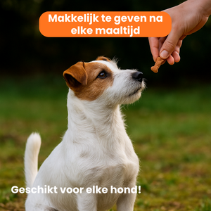 Blije Darmen Chew (Hond)