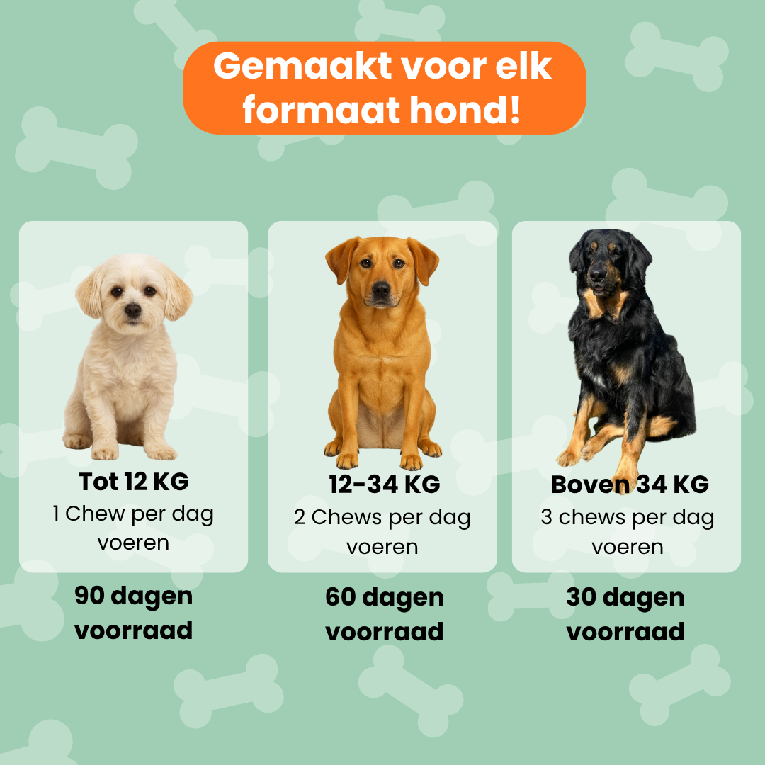 Blije Darmen Chew (Hond)