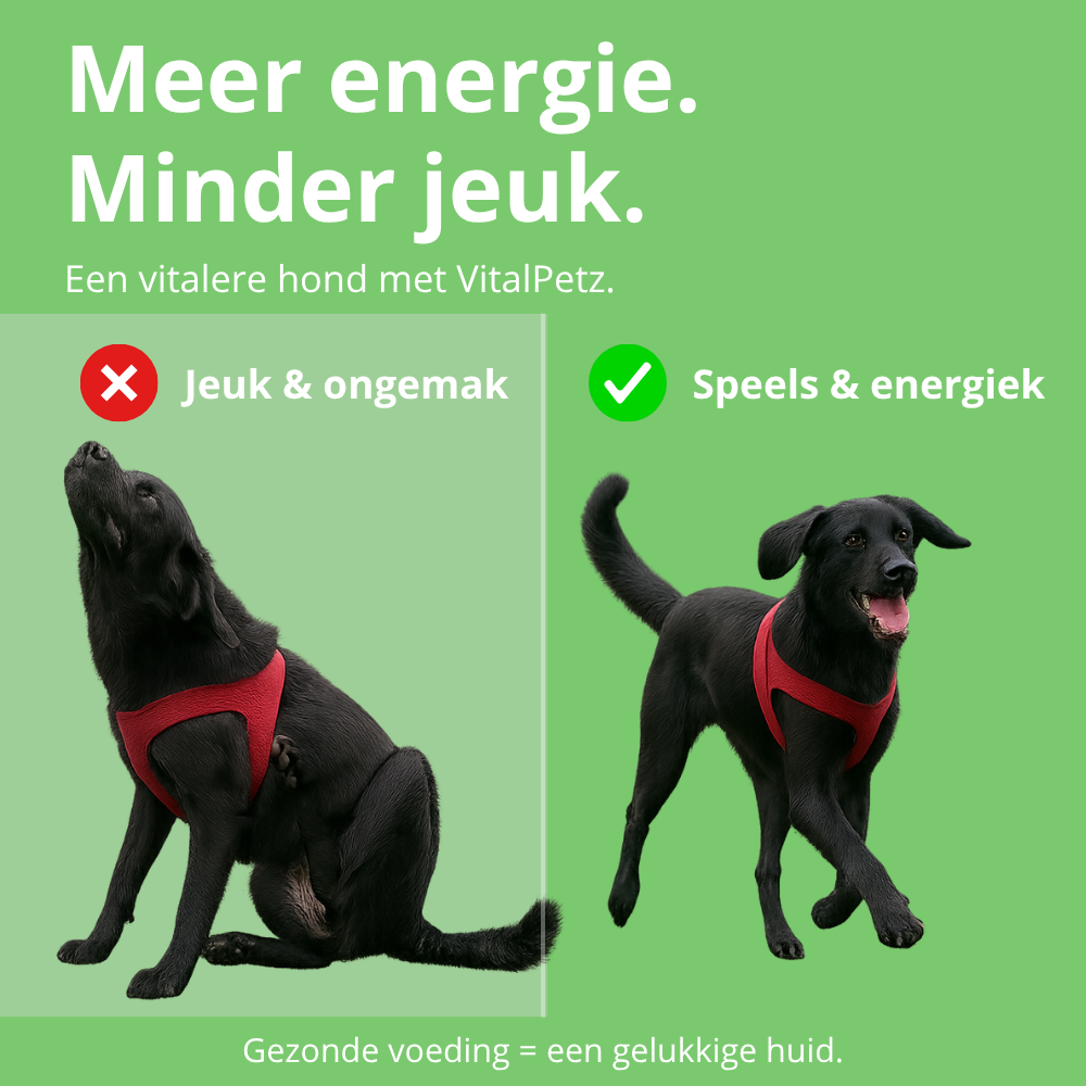 VitalPetz hondensnack 17 cm