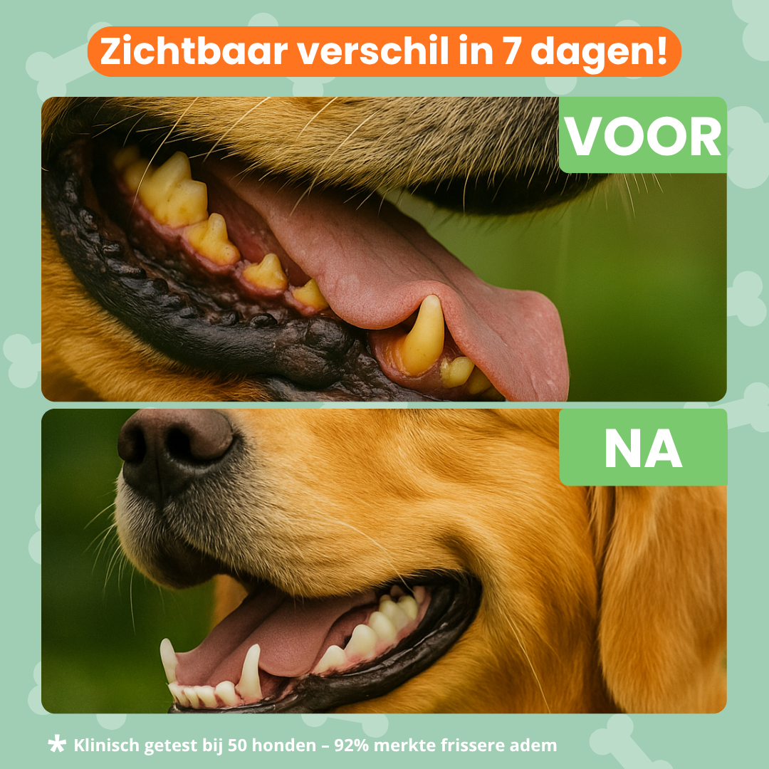 Frisse Adem Blend (Hond)